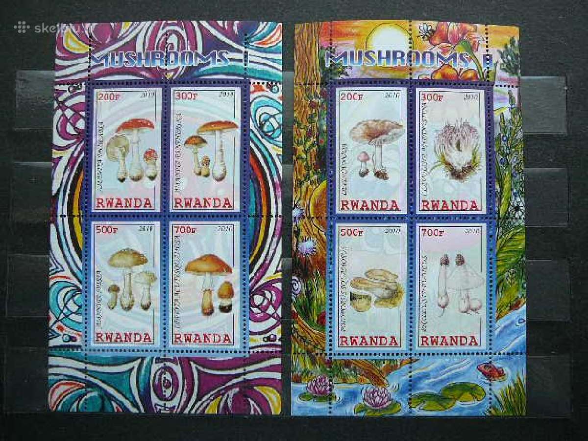 Grybai Ruanda 2010 svarus s844a/b