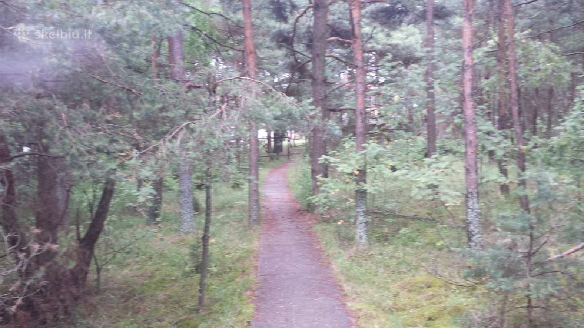 Isnuomojama sodyba ant juros kranto - nuotraukos Nr. 21