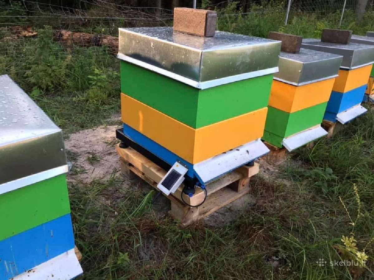 Aviliai, spietinės, bitininkystės inventorius - nuotraukos Nr. 9