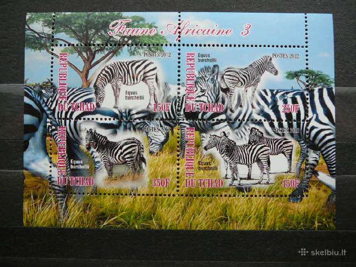 Zebrai Cadas 2012 svarus g549a/b
