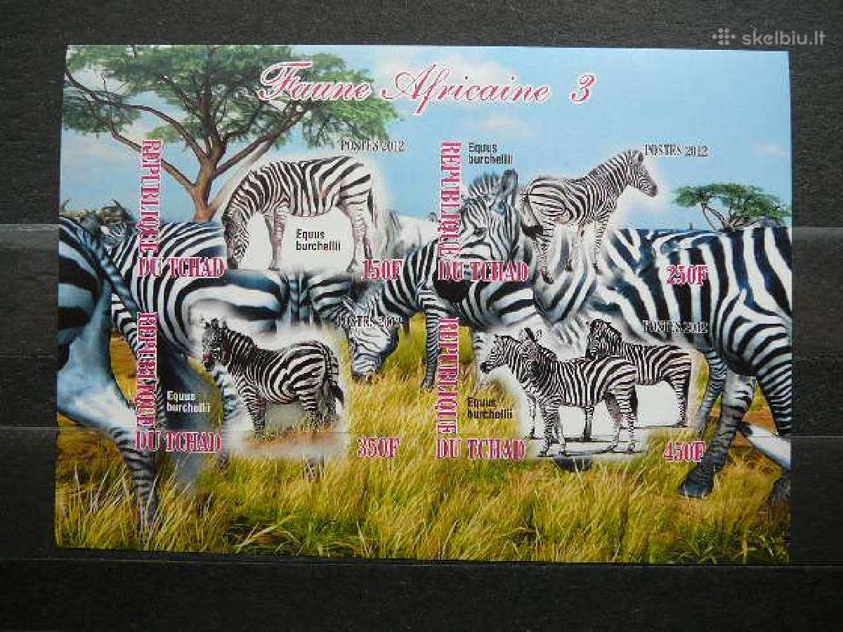 Zebrai Cadas 2012 svarus g549a/b - nuotraukos Nr. 2