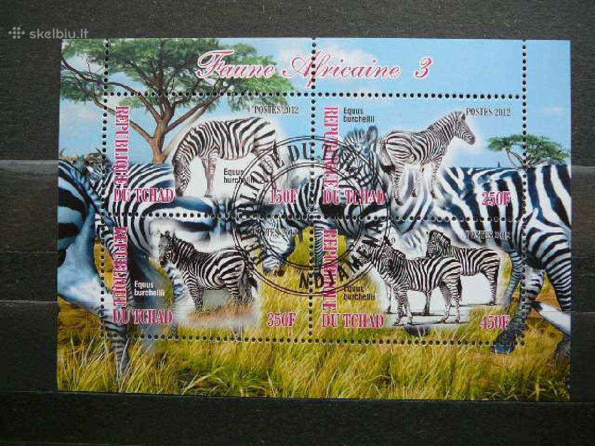 Zebrai Cadas 2012 antsp. g549