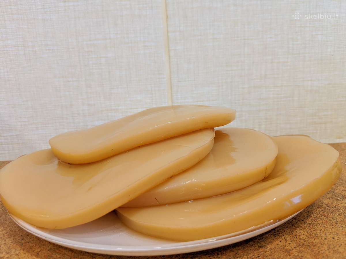 Arbatos grybas (Kombuča)