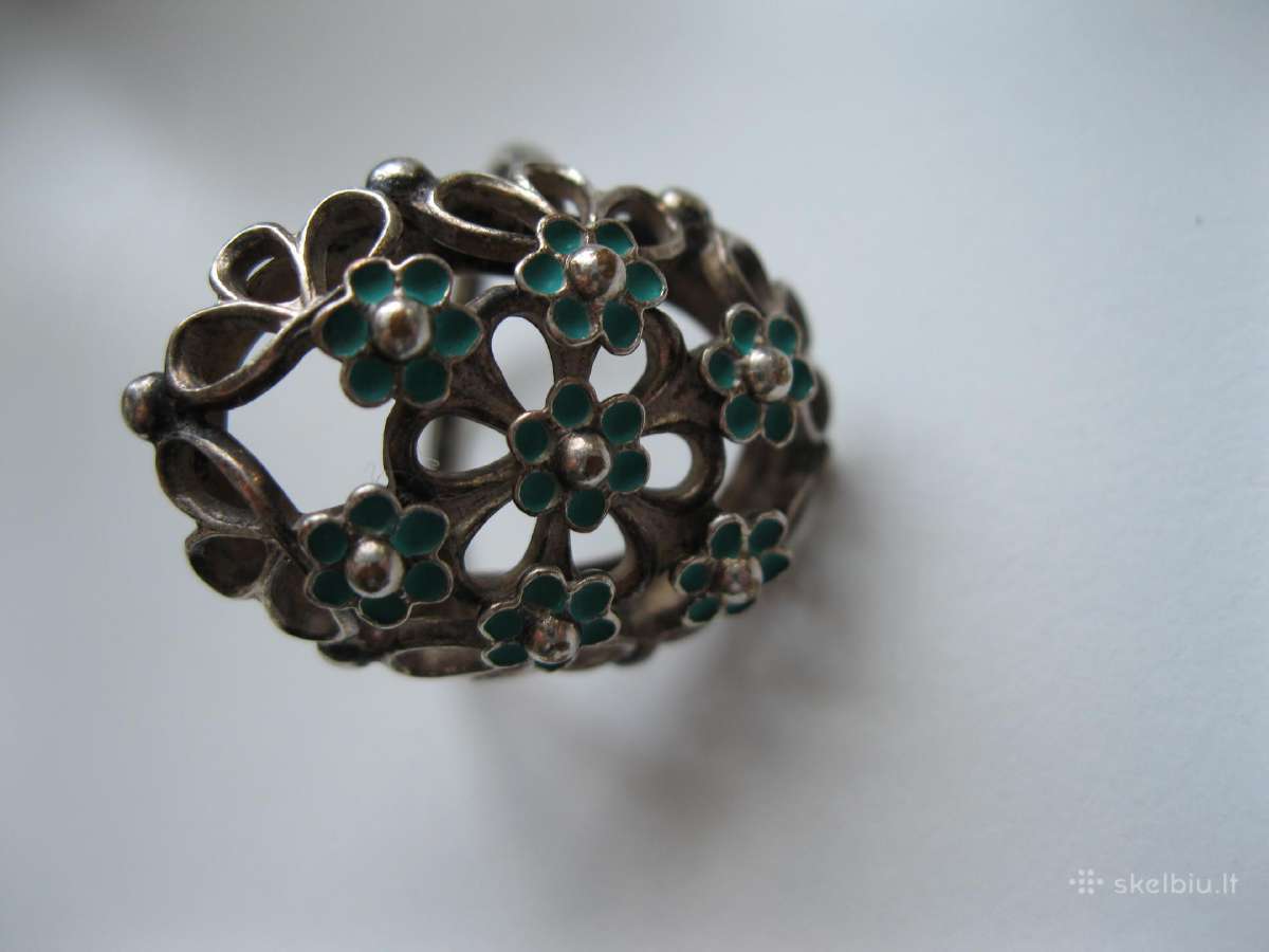 Ziedas Su ornamentais . .zr. foto. - nuotraukos Nr. 10