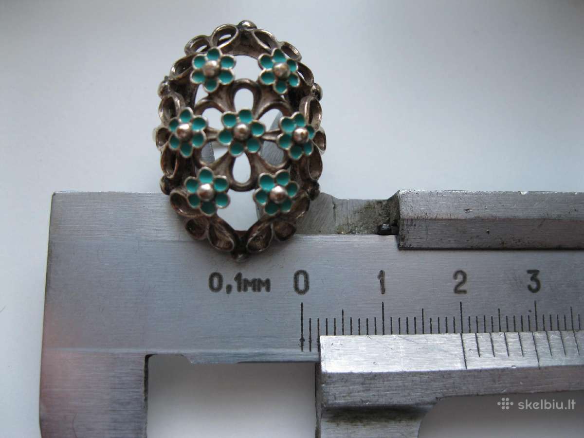 Ziedas Su ornamentais . .zr. foto. - nuotraukos Nr. 14
