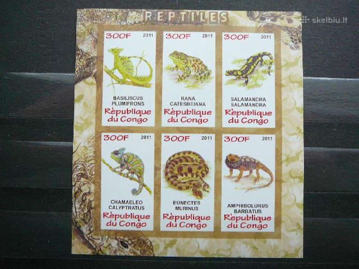 Varles Gyvates Reptilijos Kongas 2011 s948a/b - nuotraukos Nr. 2