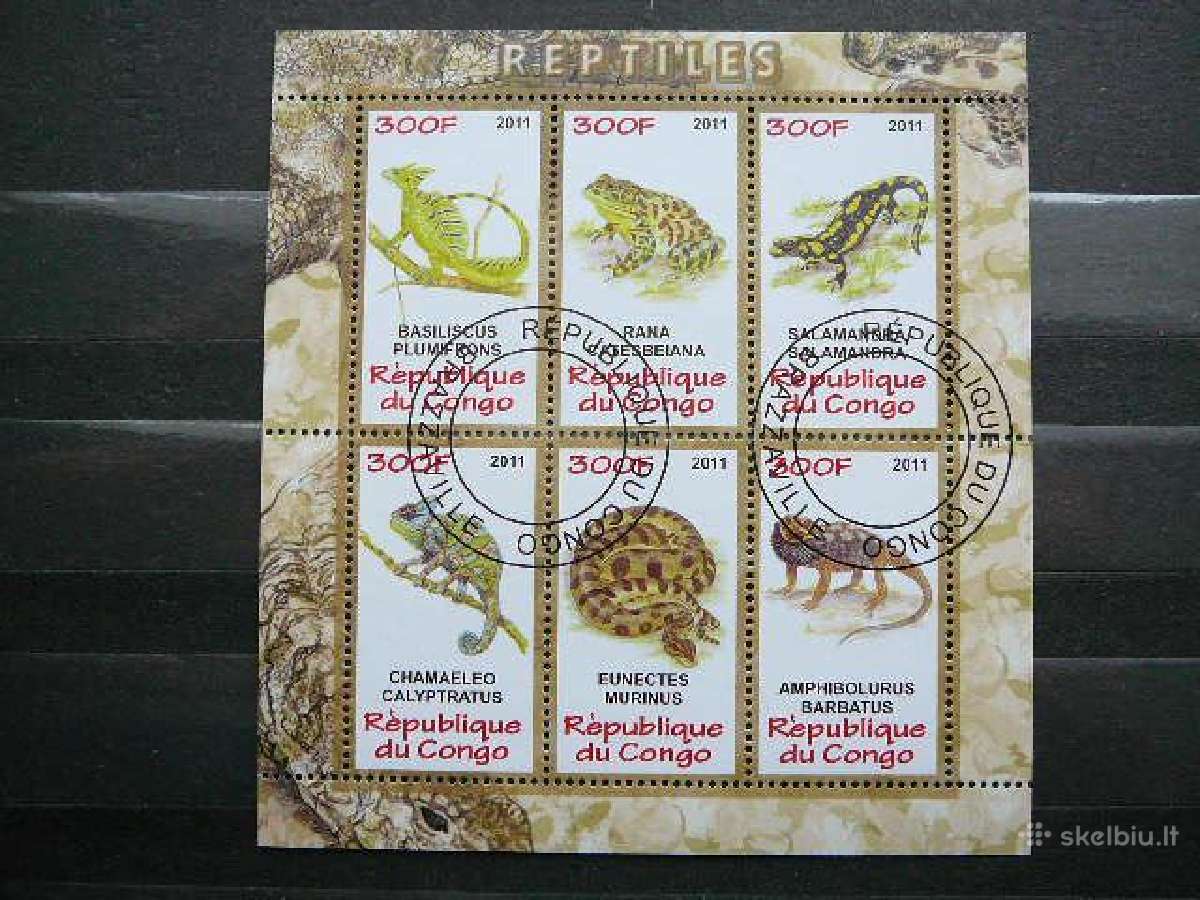 Varles Gyvates Reptilijos Kongas 2011 s948