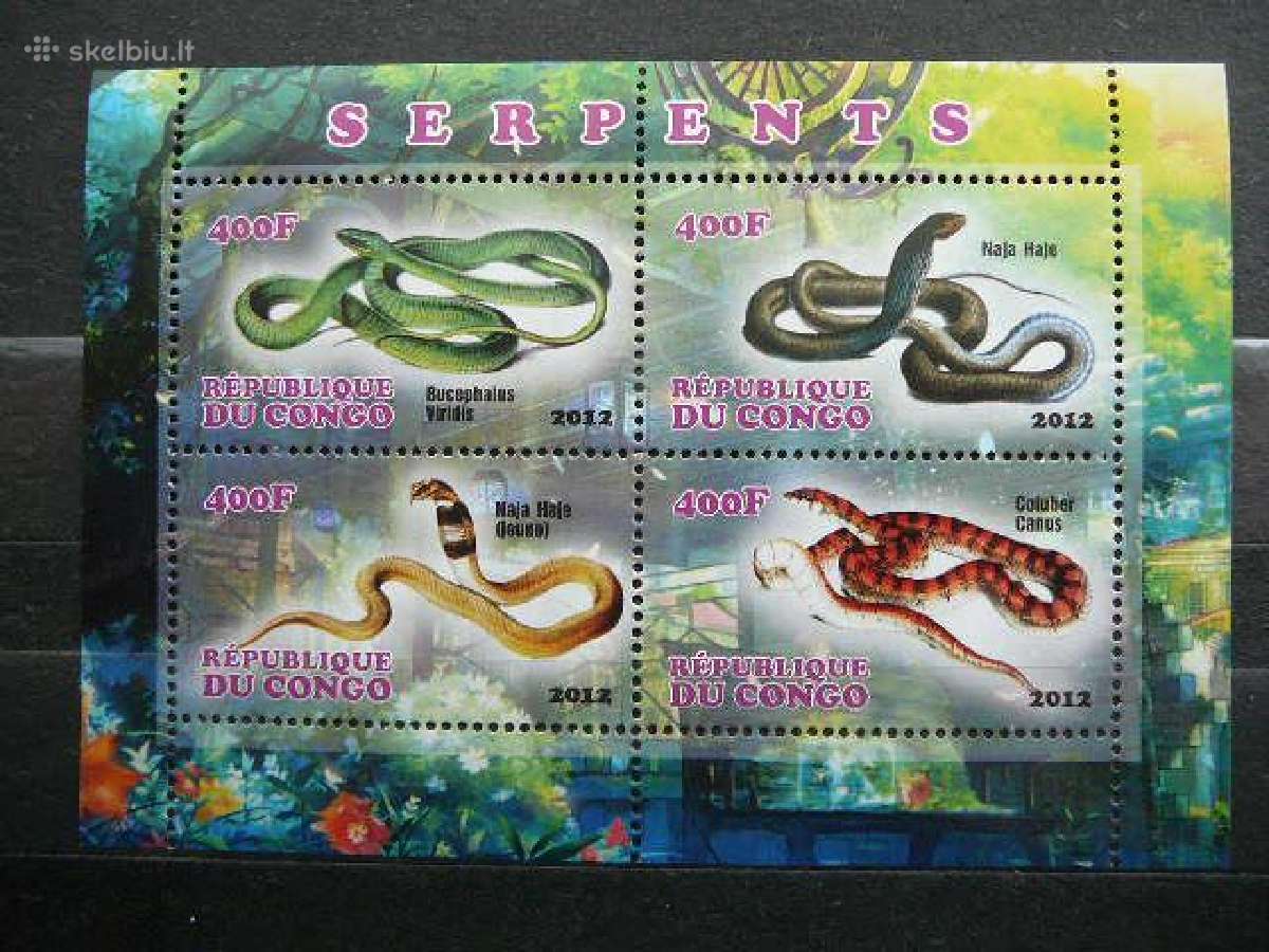 Gyvates Reptilijos svarus sv952a/b