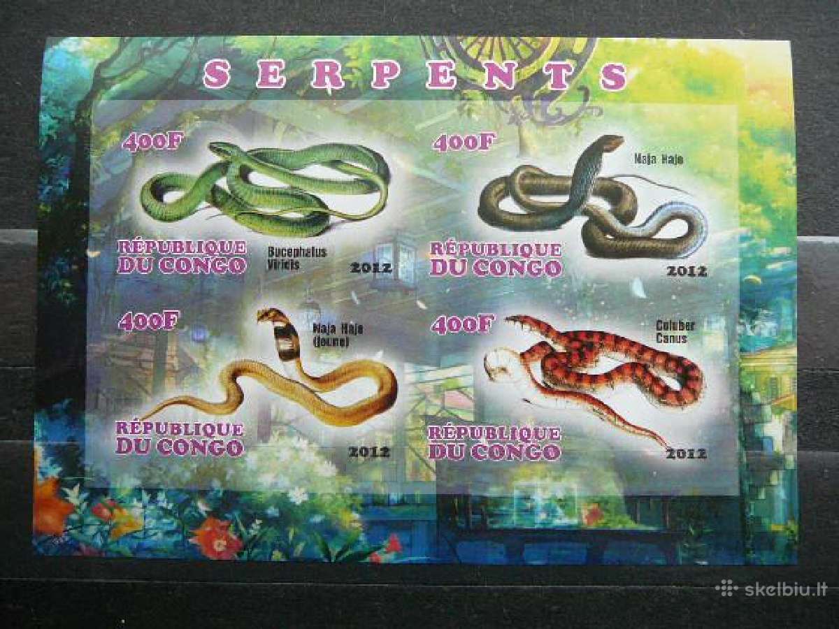 Gyvates Reptilijos svarus sv952a/b - nuotraukos Nr. 2