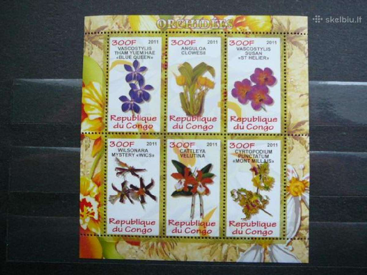 Orchidejos Geles Kongas 2011 svarus s952a/b