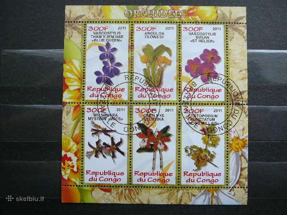 Orchidejos Geles Kongas 2011 antsp. s952