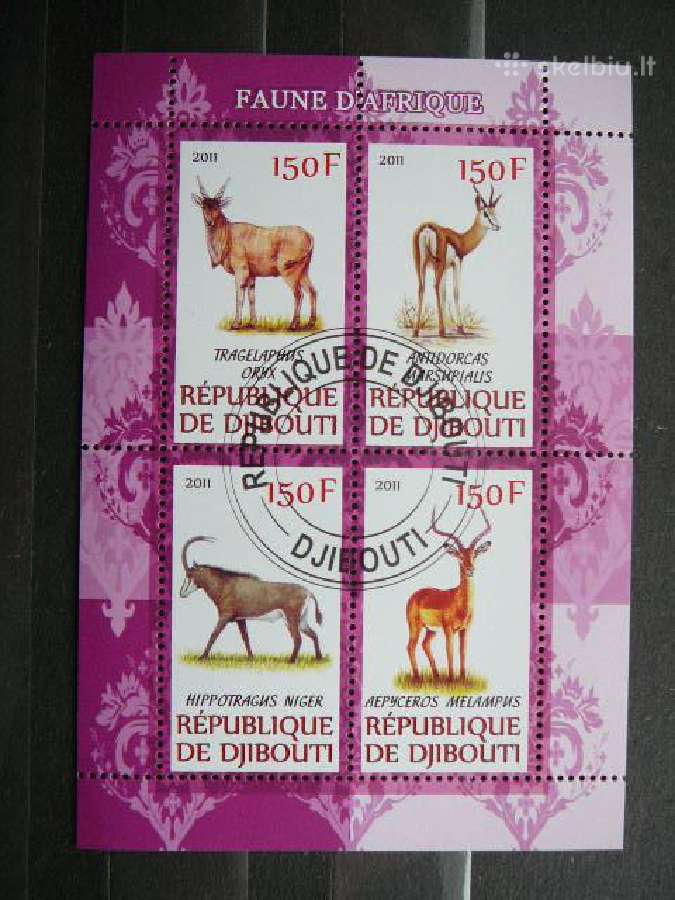 Antilopes Zverys Dzibutis 2011 antsp. s965