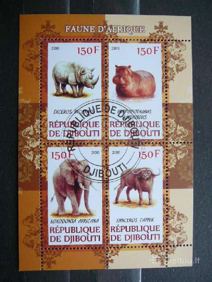 Drambliai Raganosiai Begemotai Dzibutis 2011 s967