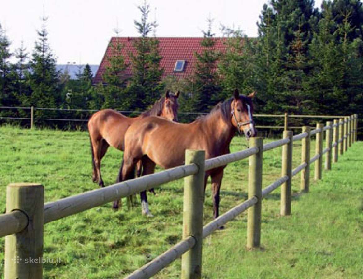 Vielos tinklo tvoros ganyklų ,miškų ,tvėrimui. - nuotraukos Nr. 8