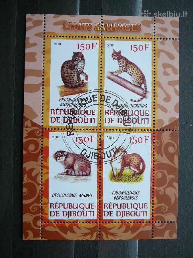 Kates laukines Dzibutis 2011 antsp. s973
