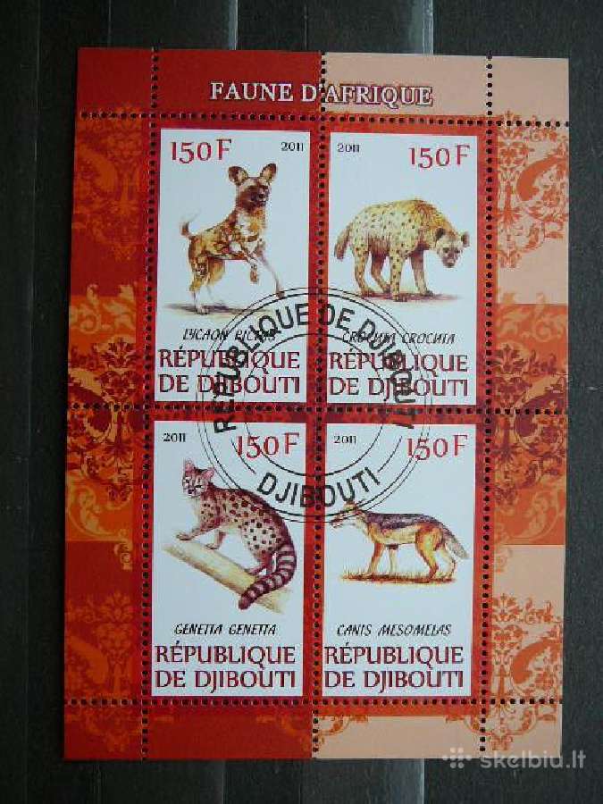 Kates laukines Dzibutis 2011 antsp. s974