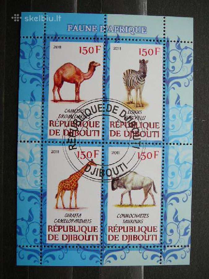 Kupranugariai Zirafos Zebrai Dzibutis 2011 s975