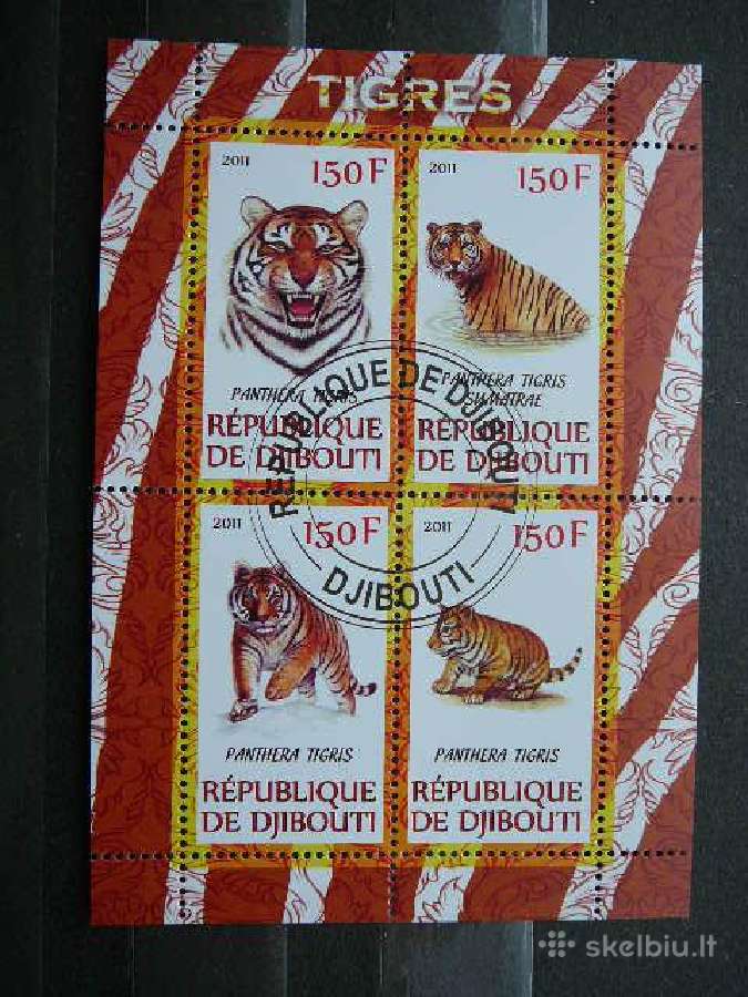 Tigrai Kates laukines Dzibutis 2011 antsp. s982
