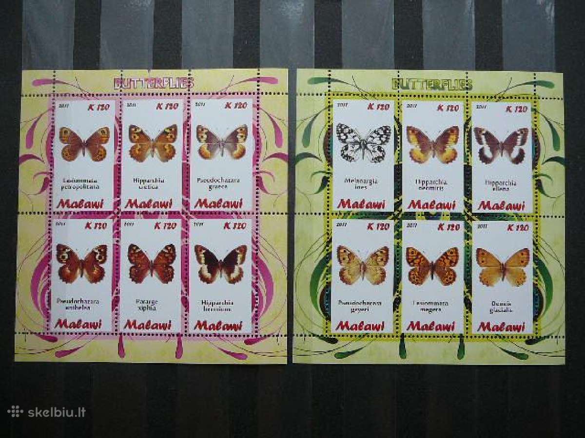 Drugeliai Malavis 2011 svarus s984a/b