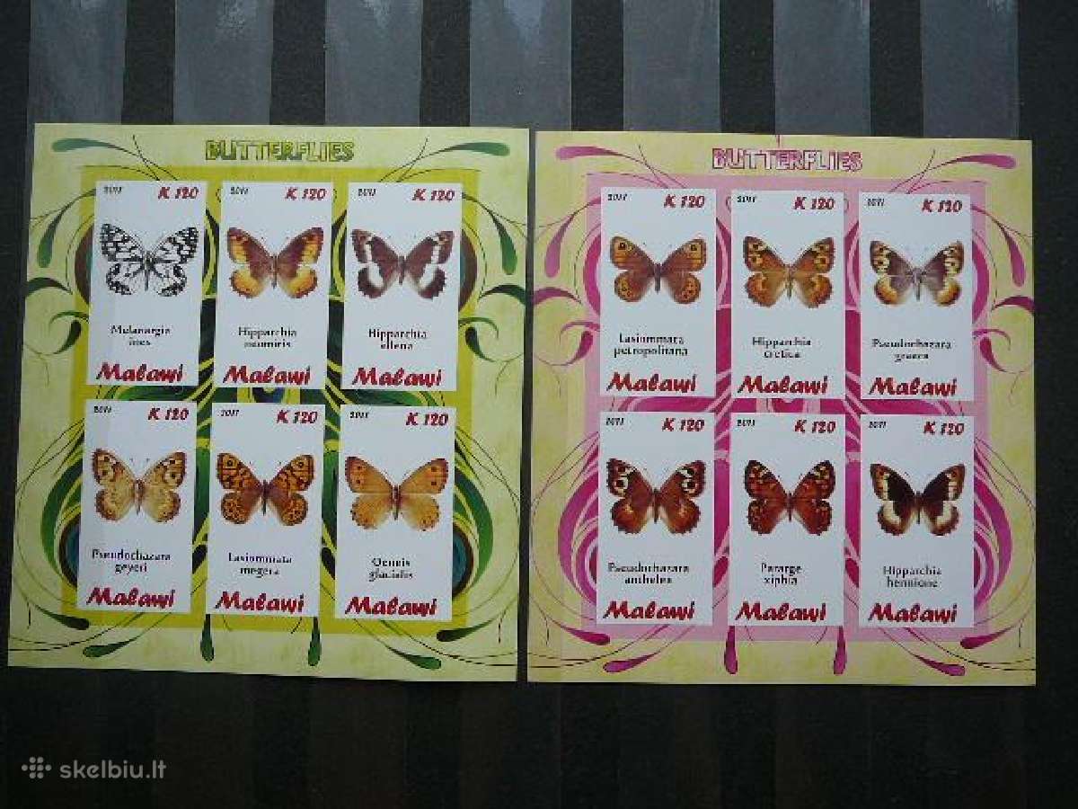 Drugeliai Malavis 2011 svarus s984a/b - nuotraukos Nr. 2