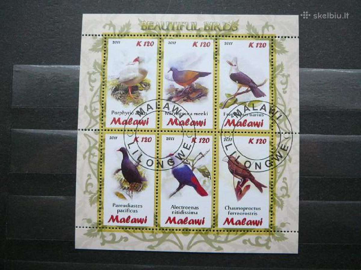 Pauksciai Malavis 2011 antsp. s987