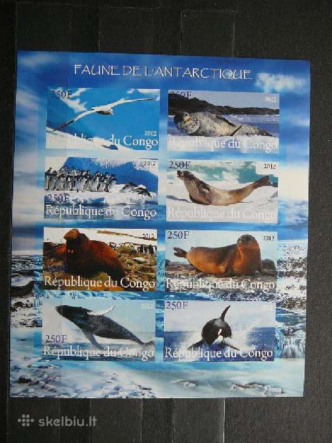 Fauna Arktikos svarus s999a/b - nuotraukos Nr. 2