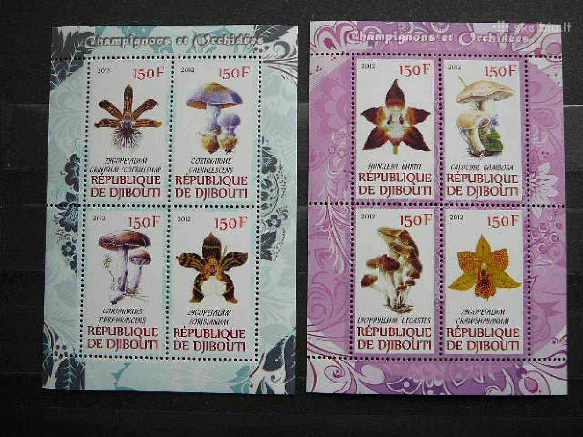 Orchidejos Grybai svarus s1025a/b
