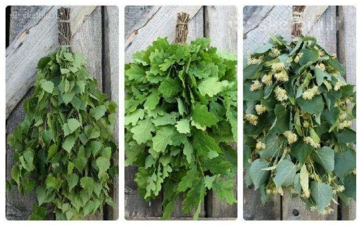 Vantos paruoštos itin kruopštaus rišėjo - nuotraukos Nr. 3