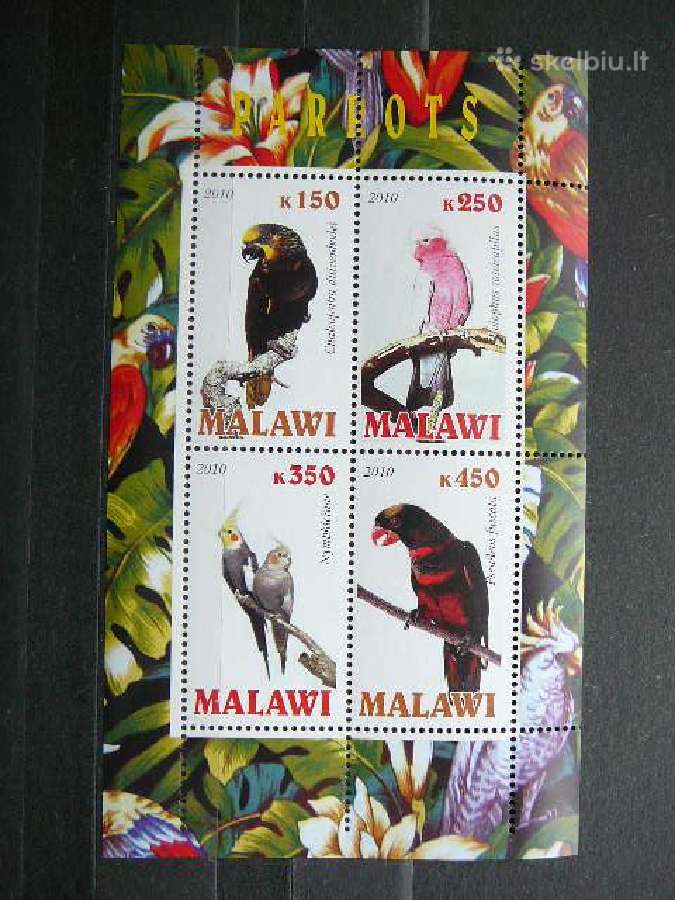 Papugos Pauksciai Malavis 2010 svarus g129a