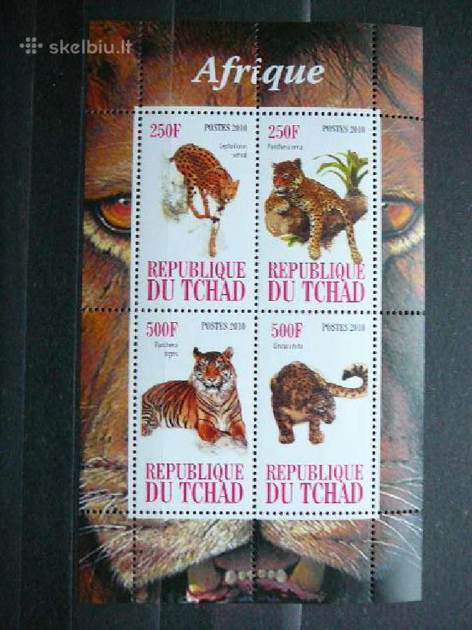 Tigrai Panteros Kates laukines Cadas 2010 g237a