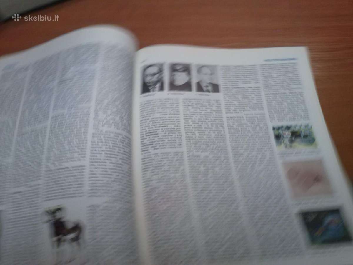 Knyga. Lietuvos enciklopedija. 1 tomas. - nuotraukos Nr. 8