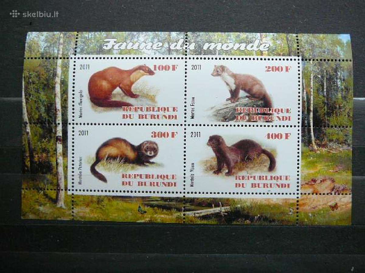Kiaunes Burundis 2011 svarus g317a/b