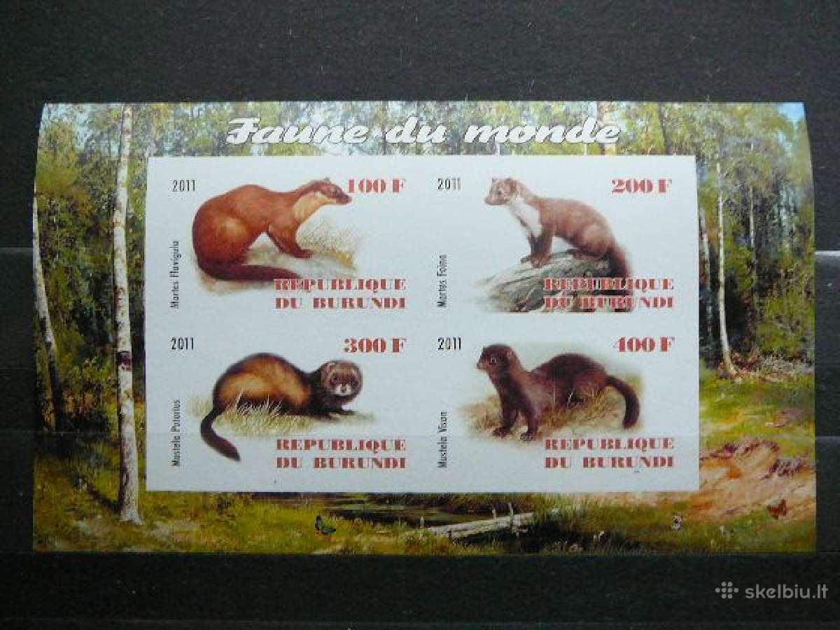 Kiaunes Burundis 2011 svarus g317a/b - nuotraukos Nr. 2