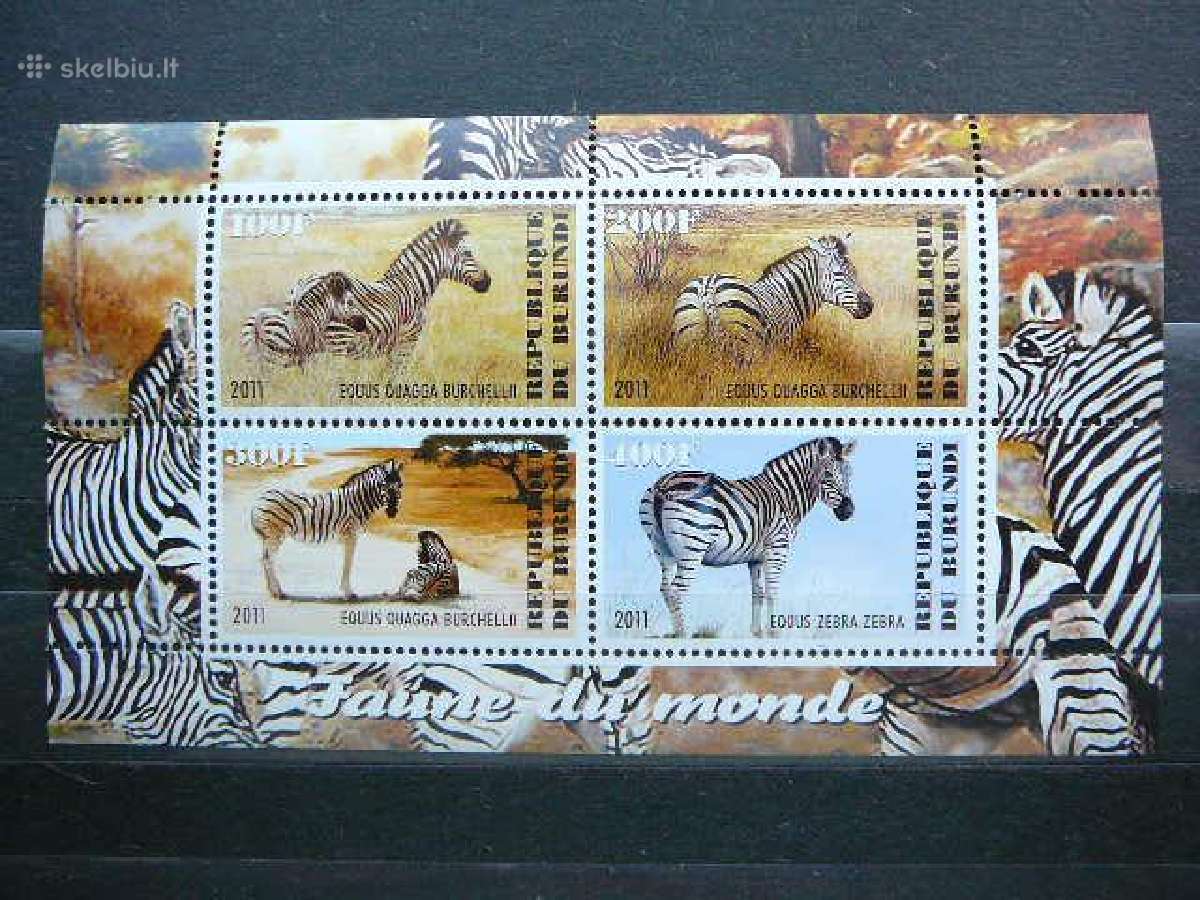 Zebrai Burundis 2011 svarus j220a/b