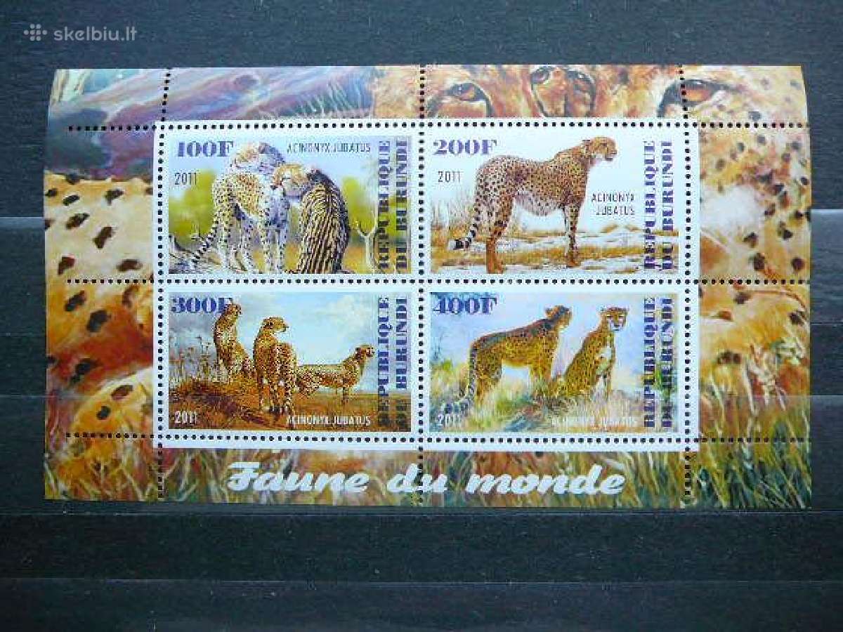 Gepardai Kates laukines Burundis 2011 j210a/b