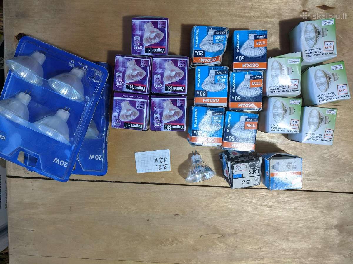 12 V ir 220 V lemputės