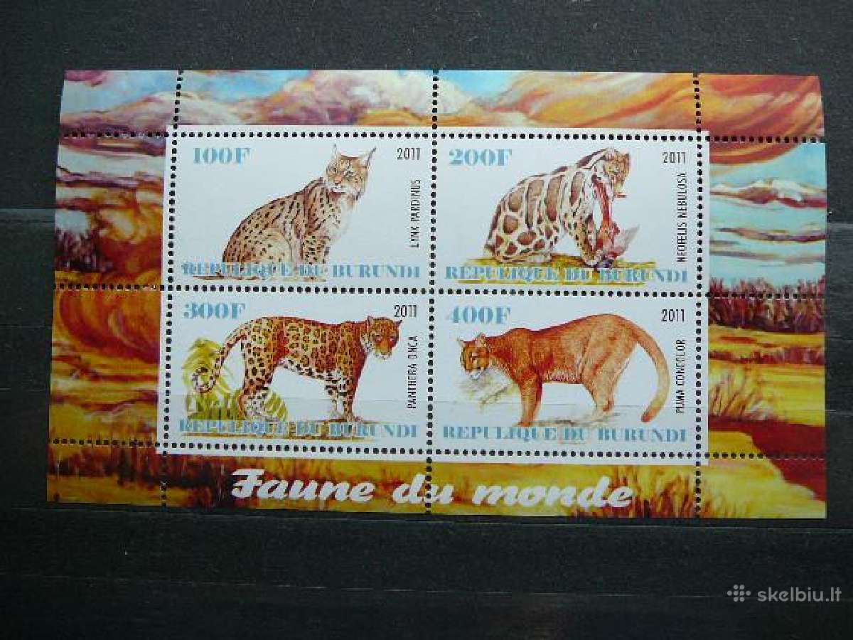 Panteros Kates laukines Burundis 2011 j228a/b