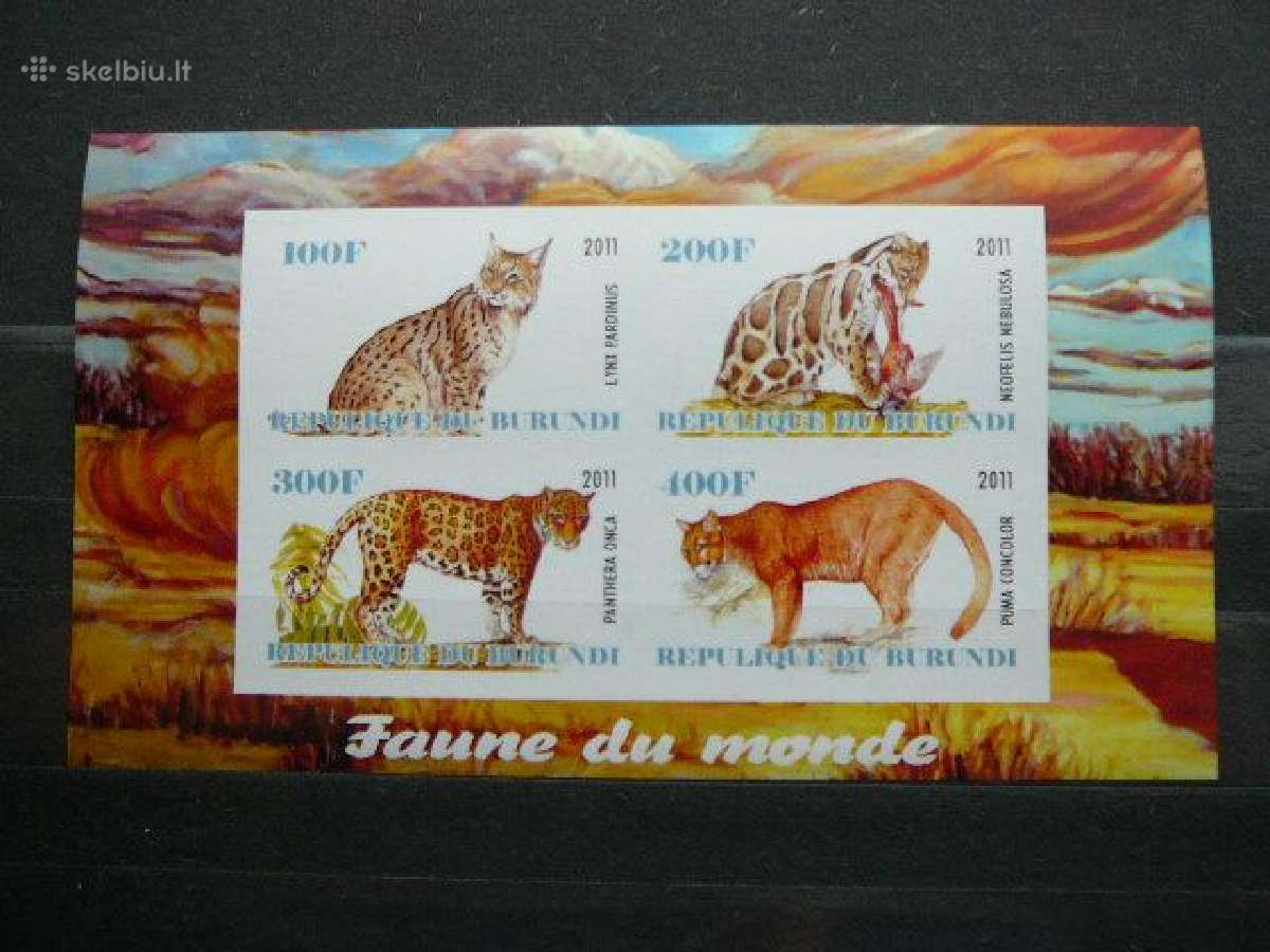 Panteros Kates laukines Burundis 2011 j228a/b - nuotraukos Nr. 2