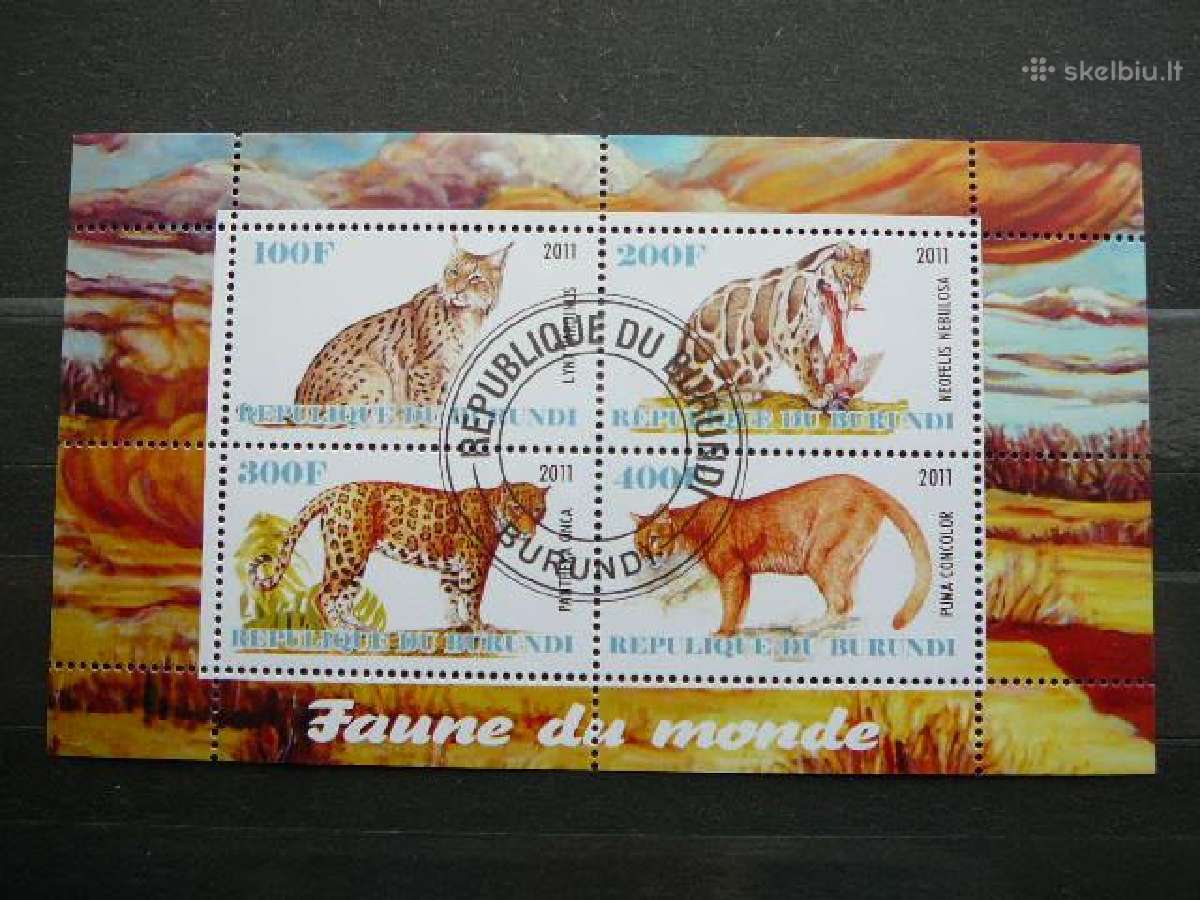 Panteros Kates laukines Burundis 2011 antsp. j228