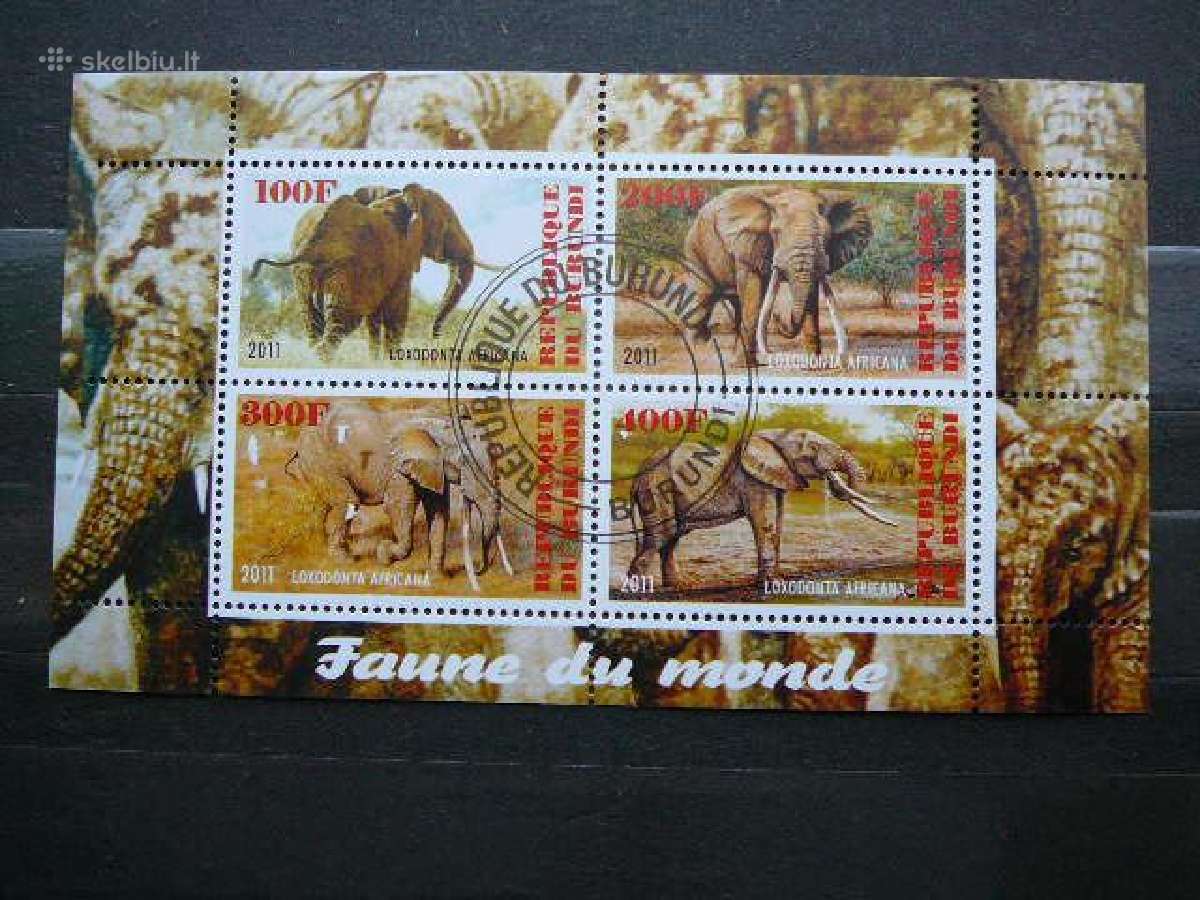 Drambliai Burundis 2011 antsp. j218