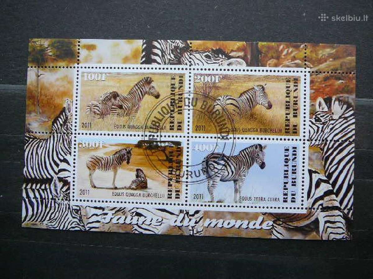 Zebrai Burundis 2011 antsp. j220