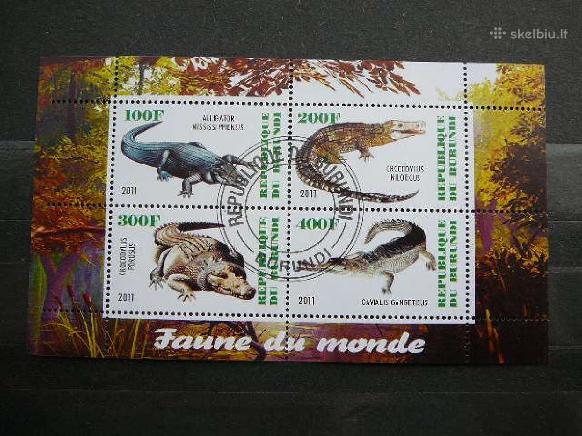 Krokodilai Burundis 2011 antsp. j211