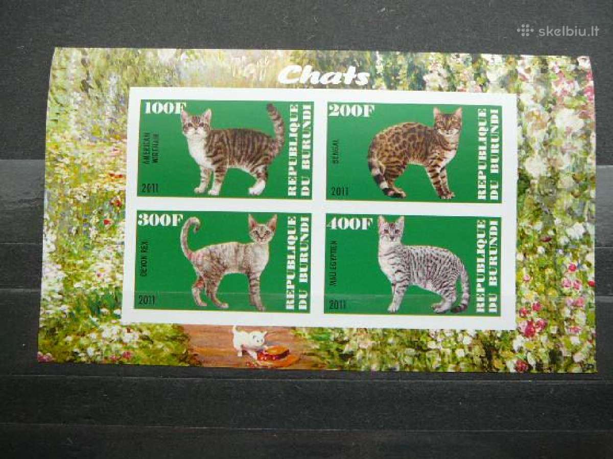 Kates Burundis 2011 10xklb. svarus j223/7a/b - nuotraukos Nr. 10