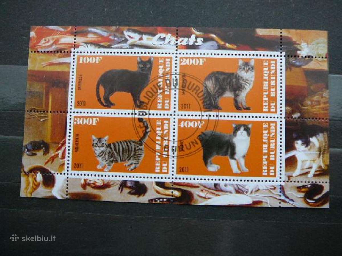 Kates Burundis 201 5xklb. antsp. j223/7 - nuotraukos Nr. 2