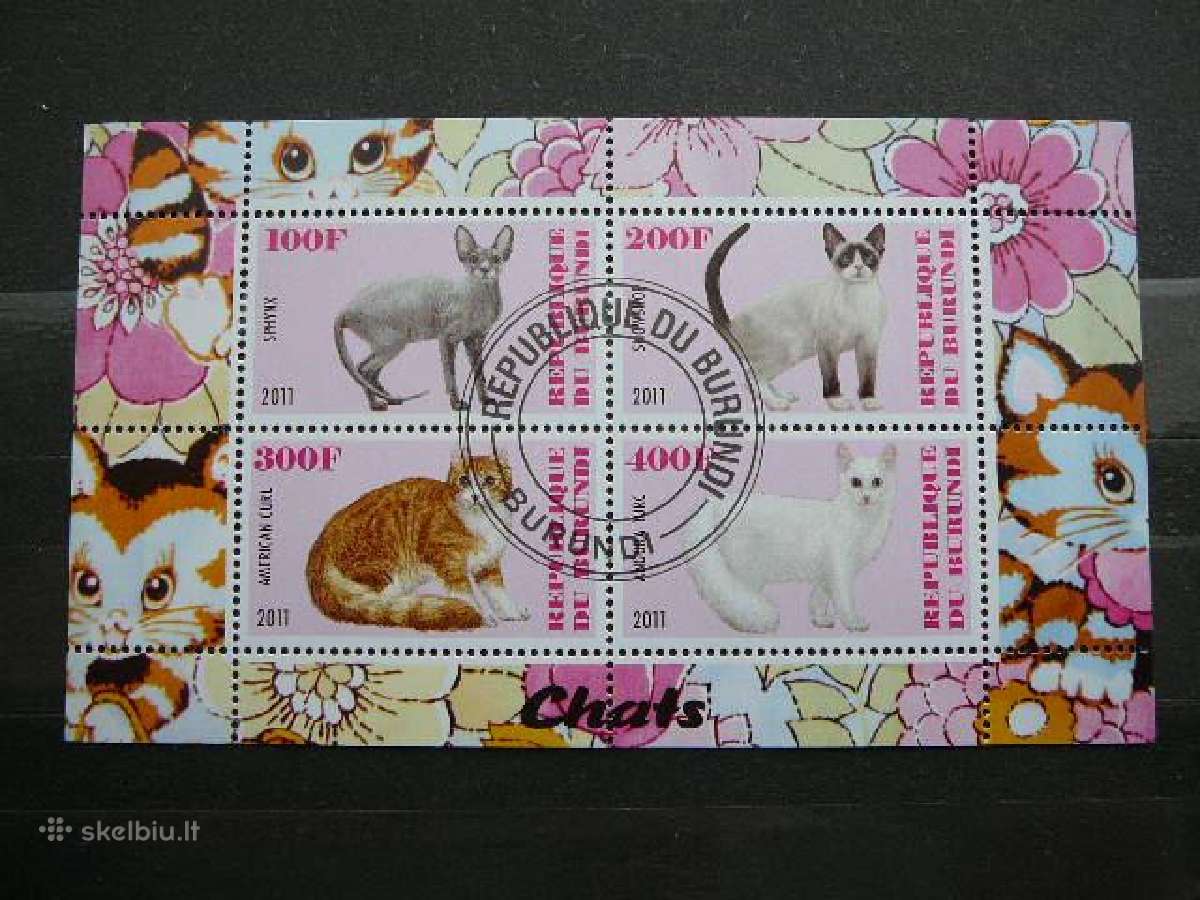 Kates Burundis 201 5xklb. antsp. j223/7 - nuotraukos Nr. 3