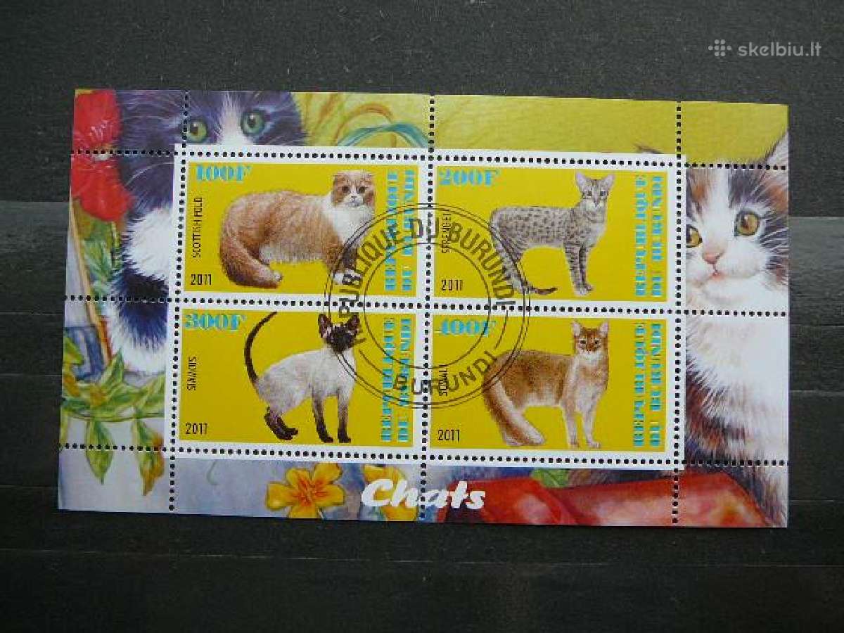 Kates Burundis 201 5xklb. antsp. j223/7 - nuotraukos Nr. 4
