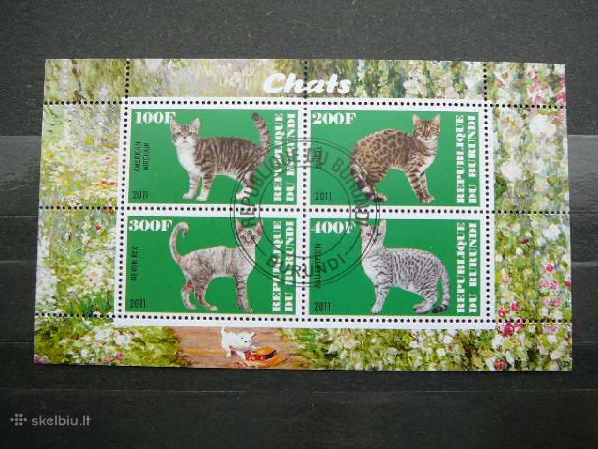 Kates Burundis 201 5xklb. antsp. j223/7 - nuotraukos Nr. 5