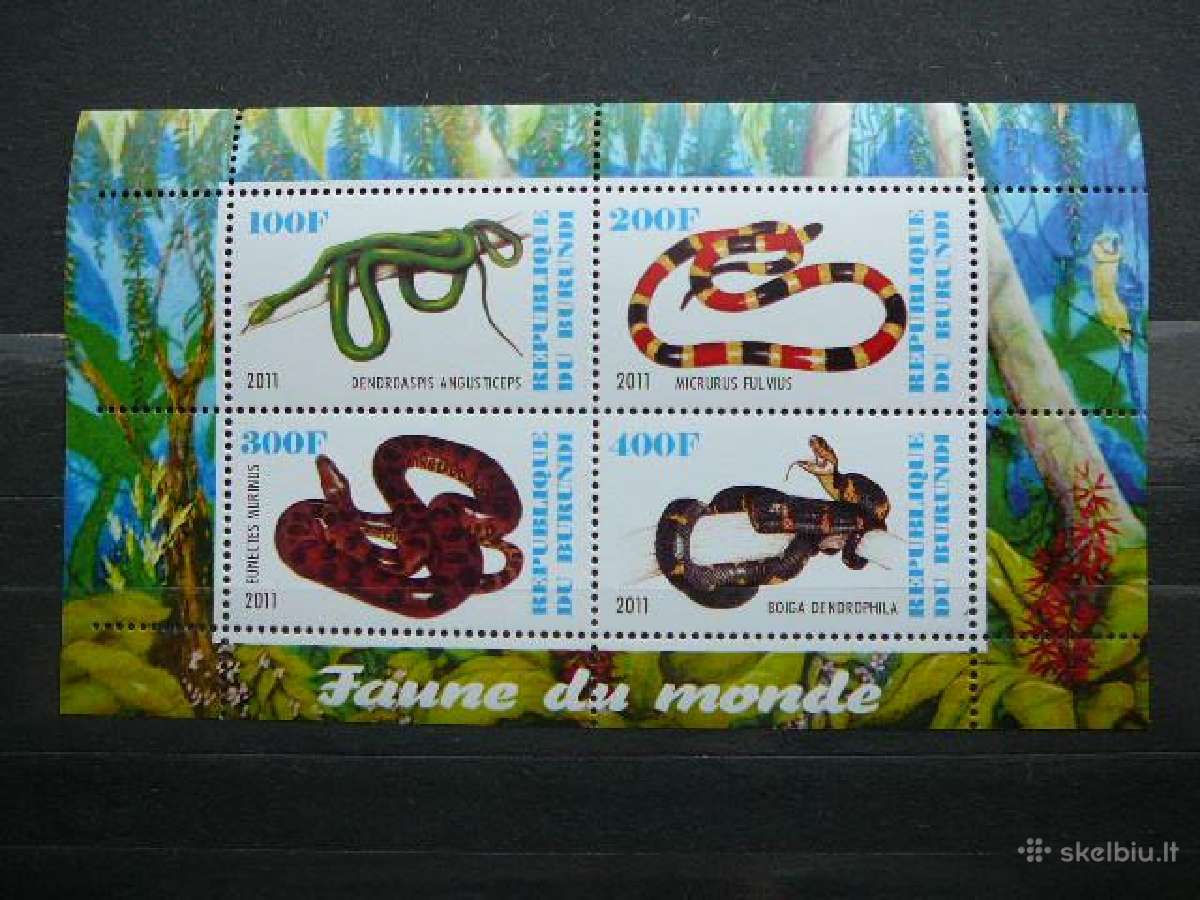 Gyvates Burundis 2011 svarus j217a/b