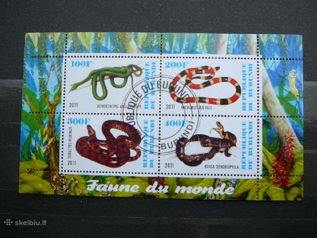 Gyvates Burundis 2011 antsp. j217
