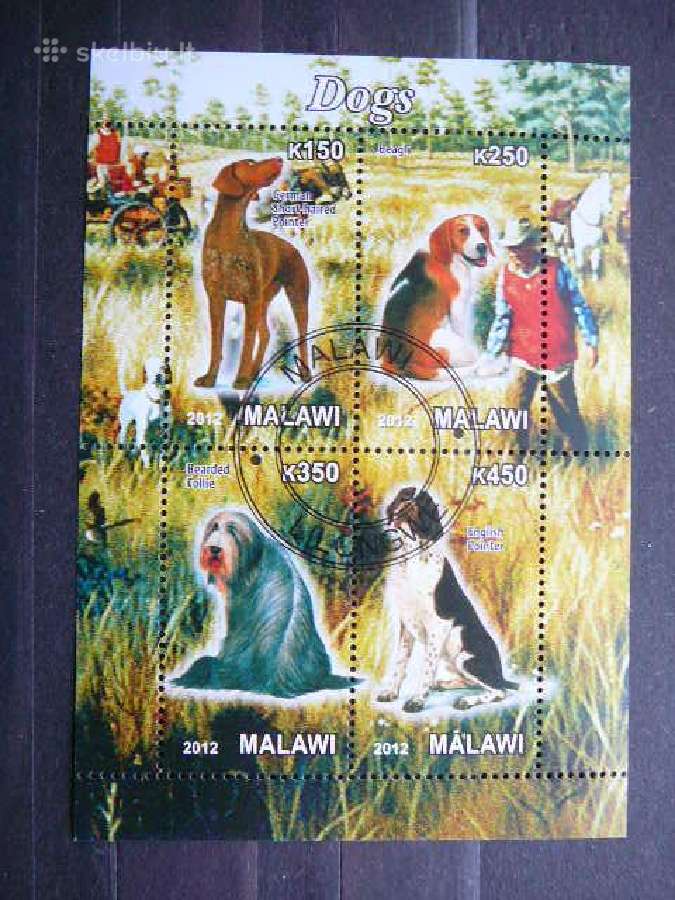 Sunys Malavis 2012 antsp. g583